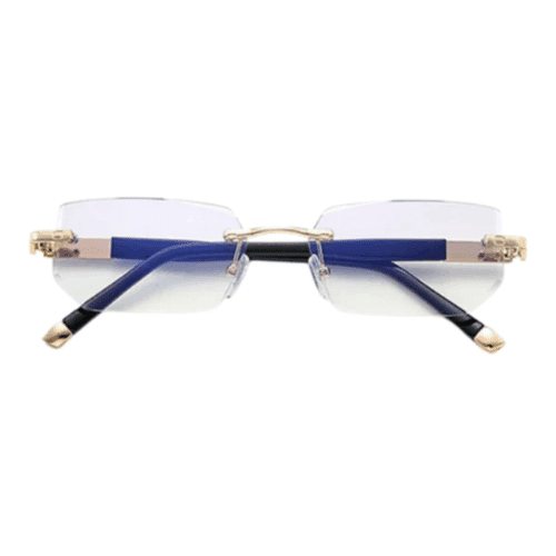 Elycura Glasses (official Retailer) 2025